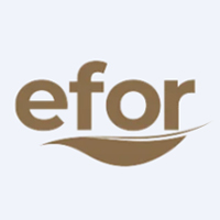 Efor Yatırım Sanayi Tic. A.Ş.