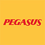 Pegasus Hava Taşımacılığı A.Ş.