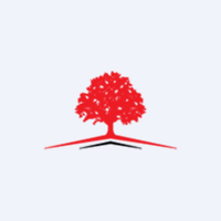Alnus Yatırım Menkul Değerler A.Ş. logosu